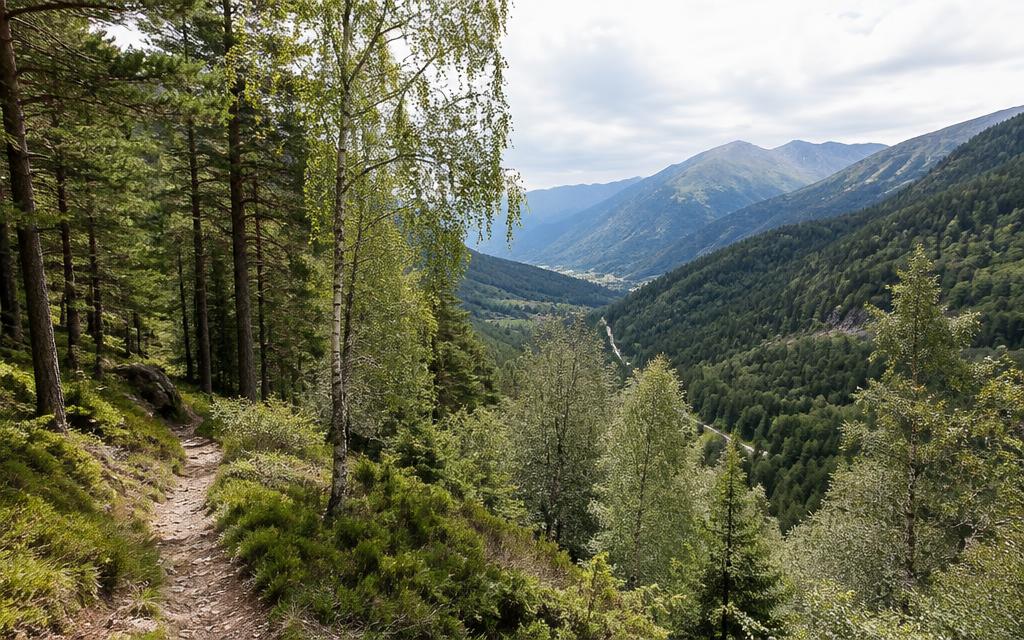 Camí de la Senyoreta