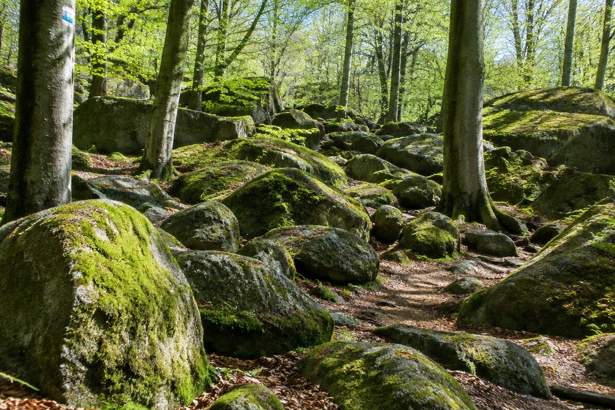 Neunkircher Höhe
