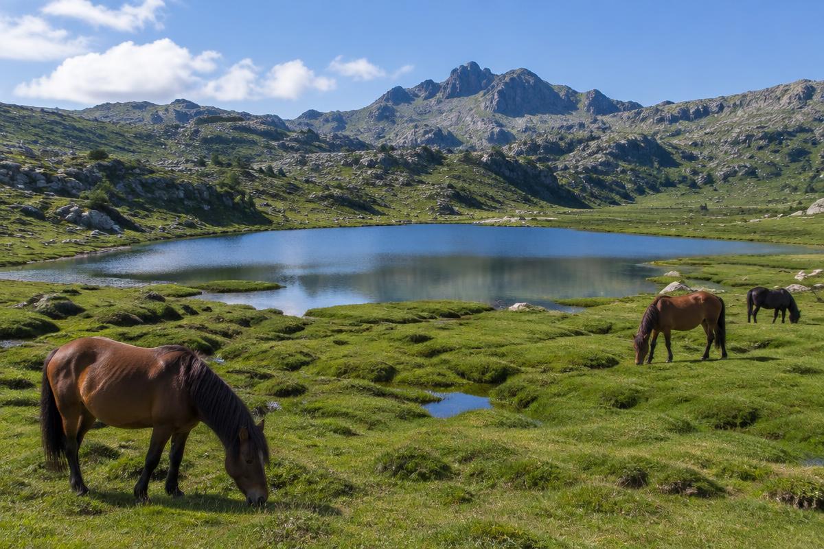 Lac de Nino e pozzines