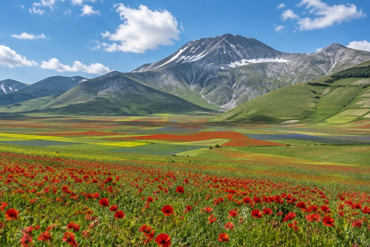 Piano Grande di Castelluccio — Monte Veletta