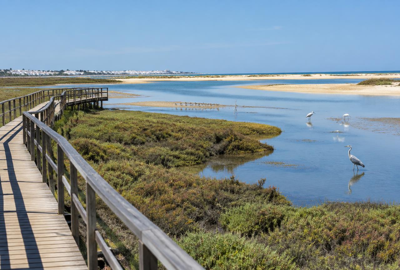 Ilha Deserta e Ria Formosa