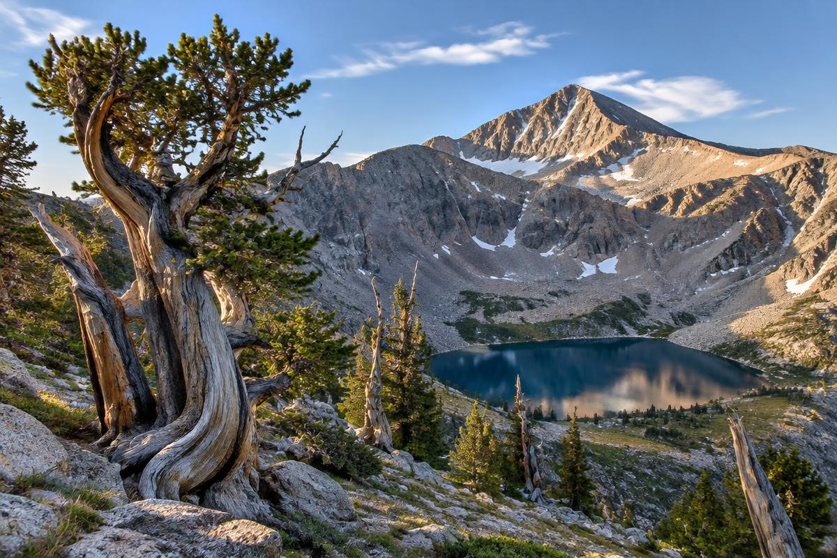 Bristlecone e Glacier Trail