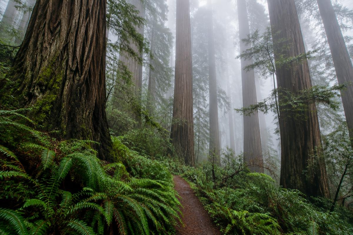 James Irvine Trail